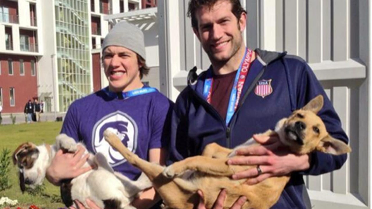 It takes a (Olympic) village to rescue Russian strays